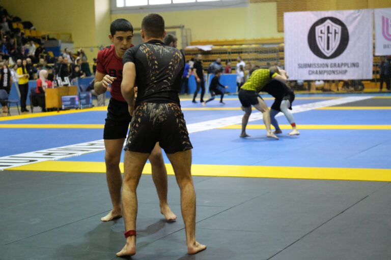 Read more about the article Spektakl na tatamiju: Završeno osmo izdanje SGC-a u Sarajevu